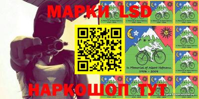крисы Новозыбков