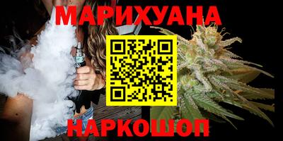 крисы Новозыбков
