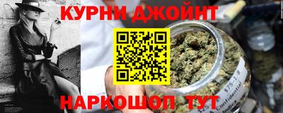 крисы Новозыбков