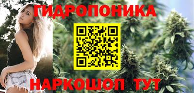 крисы Новозыбков