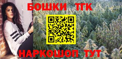 крисы Новозыбков
