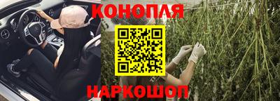 крисы Новозыбков