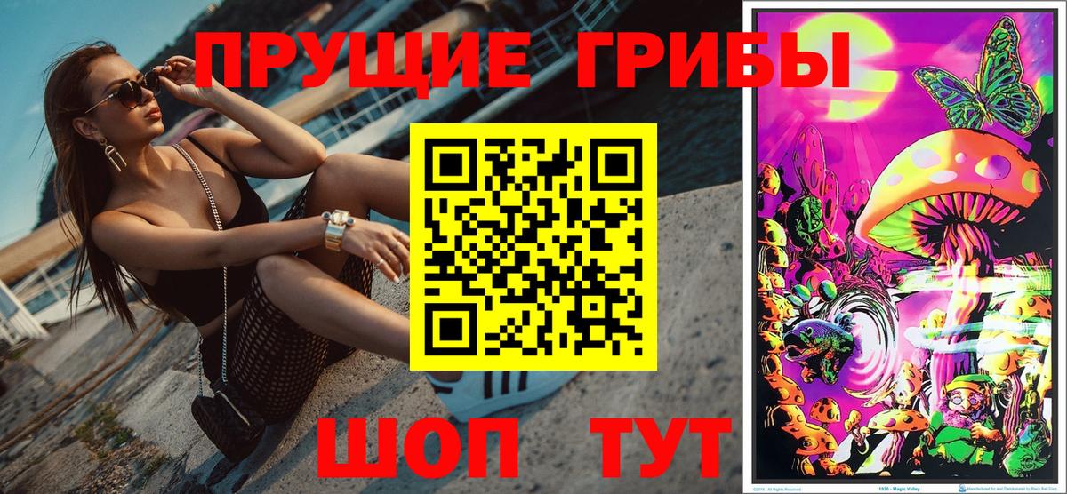 Томск  Псилоцибиновые грибы прущие грибы  Вход с VPN  Галлюциногенные грибы ЛСД 