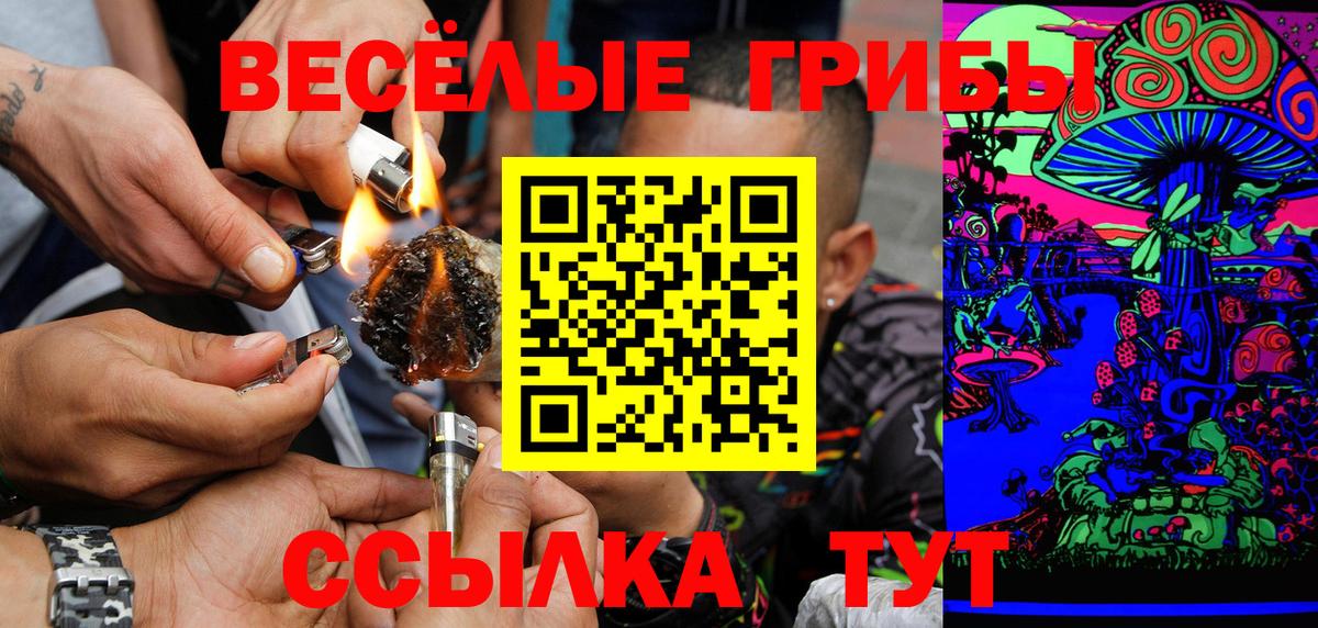 Псилоцибиновые грибы ЛСД Томск